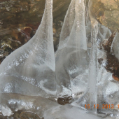 priroda