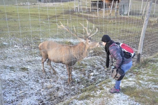 Božtek od kamaráta... :)