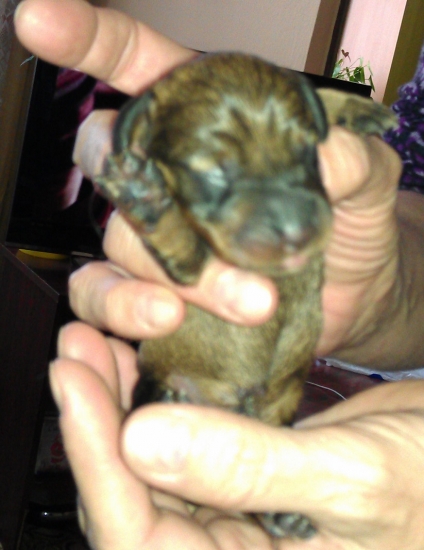 Ahojte, volám sa Walle...:)