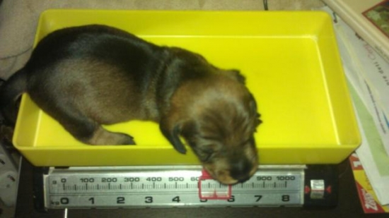 Vážime sa na dva týždne :)))