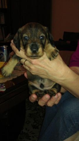 Zase som trochu vyrástol...:)