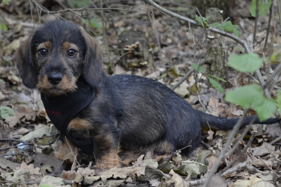Walle - trochu som vyrástol.