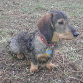 10 mesiacov... :-)