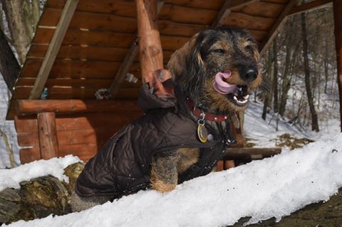 Tooó bolo chutné :-p