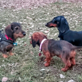 Summit :-)