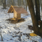 Prikŕmenie