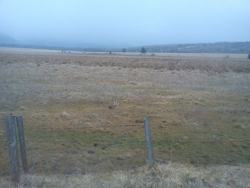 Dnešný dvanástorák v daždi