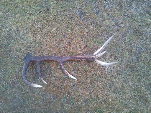 Bližší pohľad na ID: 288138