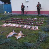 Spolocna polovacka-19.12.2015