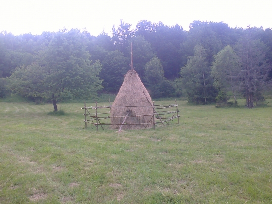 seno pre zver hotove