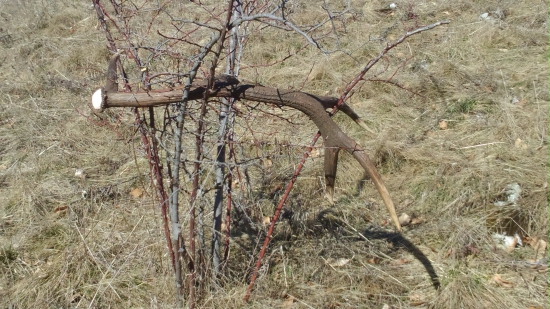 Jeden z jedenástich
