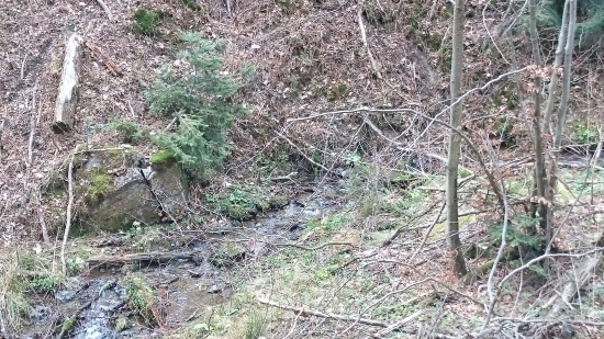 pohlad do potoka