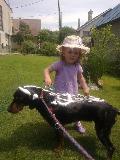 čistota pol života......