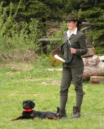 prehliadka zhodov u nás - zahájenie