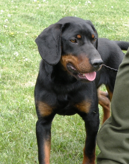 EBEN Lohyňa - na KVSK 2011