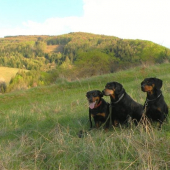 na jarnej prechádzke