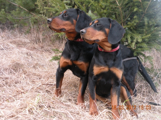 FLORA a FILA Lohyňa