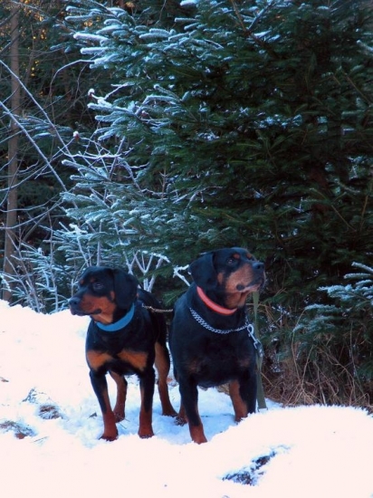 matka s dcérou (Flora s Dianou:)
