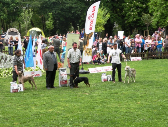 CVP Lučenec 2015, Veľká cena národných plemien