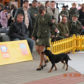 World dog show 2009 s Diankou