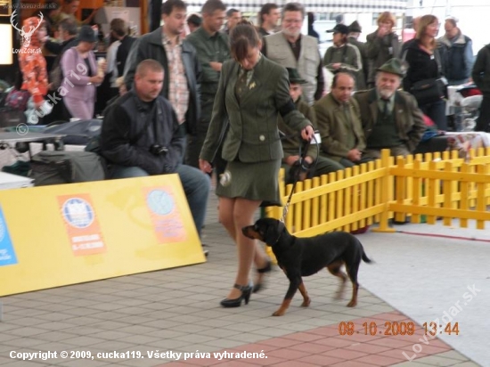 World dog show 2009 s Diankou