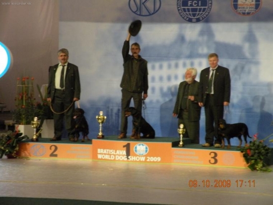 World dog show 2009