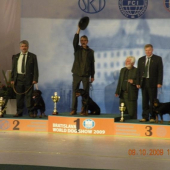 World dog show 2009