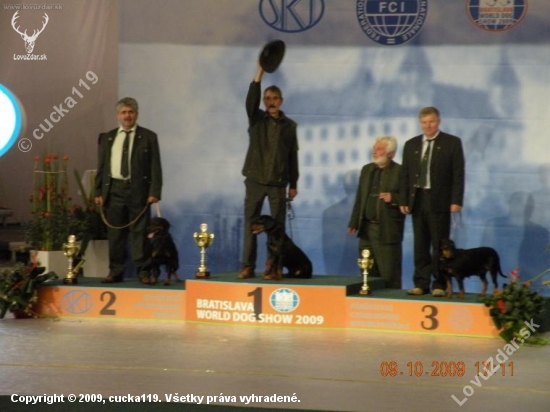 World dog show 2009