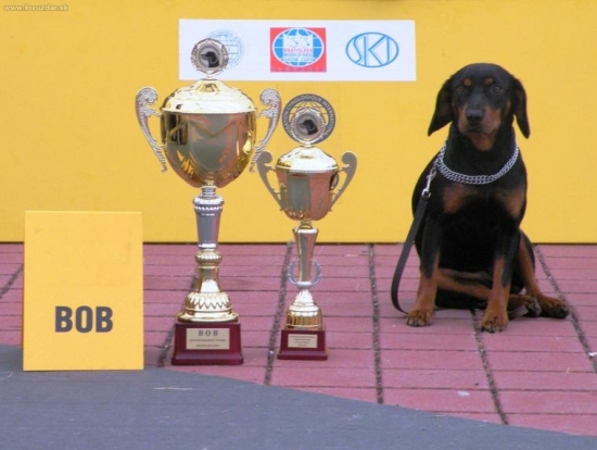 Svetová klubová výstava pri WDS