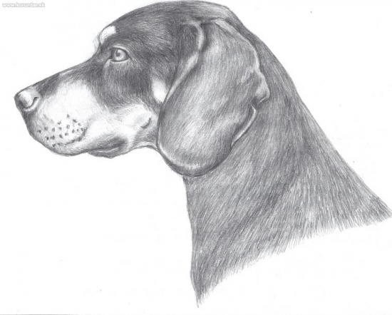 kopov (môj portrét)