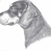 kopov (môj portrét)