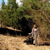 ...sadni! (pokus o hromadné odloženie :)