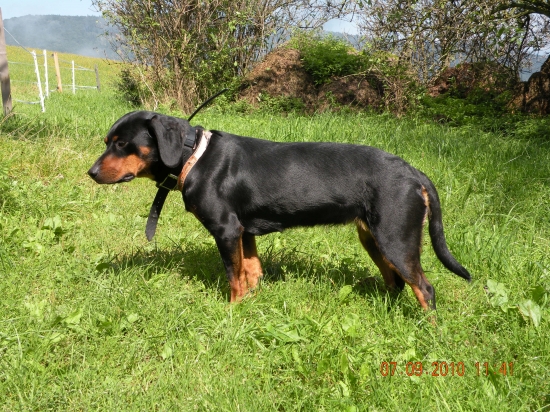 Diana Lohyňa v 5.týždni