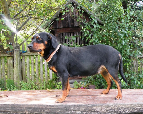 Diana Lohyňa v 7.týždni