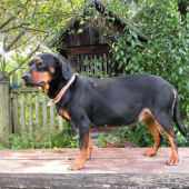 Diana Lohyňa v 7.týždni