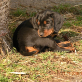 6. týždeň (EGON)