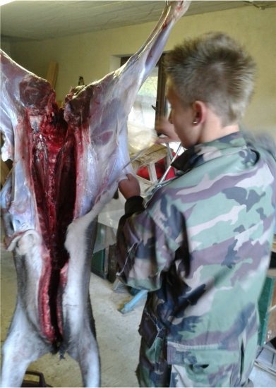 Už som naučený :)