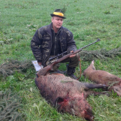 Diviak zo spoločnej