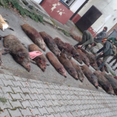 Výrad zo spoločnej :)