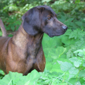 KASPER