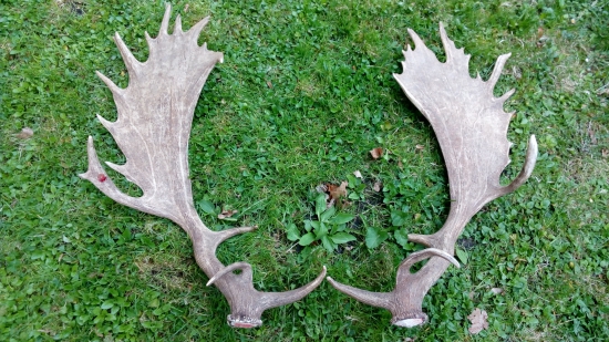 Obůrka stará myslivna