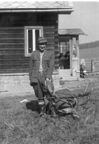 Medailový dvanástorák