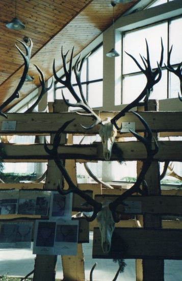 Chovateľská výstava