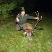 Jeleň na narodeniny