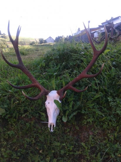 Diana dopriala šťastie