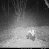 Jedna z novembra :-)