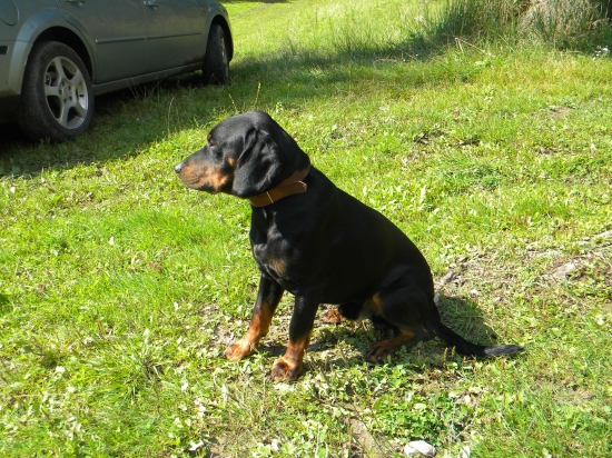 Môj Cezar,ked mal 1,5r.