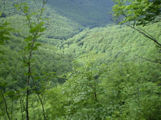 Strazovske vrchy