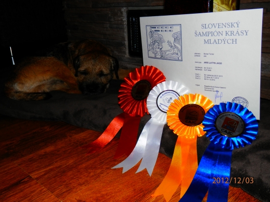 Zaslúžený oddych po náročnom výkende.