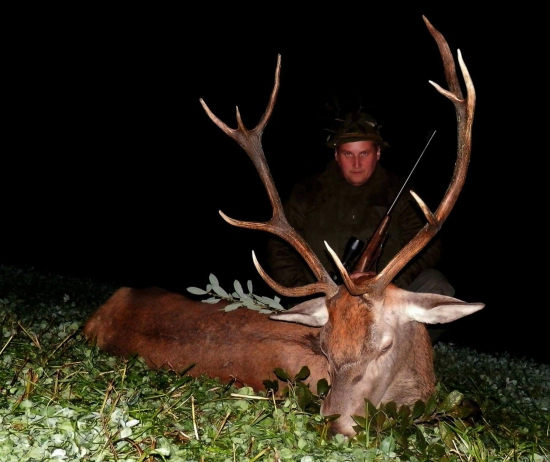 Jelen od Sv.Anny,2016